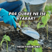 P44 Gübre Ne İşe Yarar?