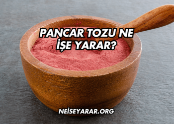 Pancar Tozu Ne İşe Yarar?