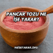 Pancar Tozu Ne İşe Yarar?