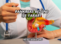 Pankreas Bezi Ne İşe Yarar?