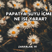 Papatya Suyu İçmek Ne İşe Yarar?