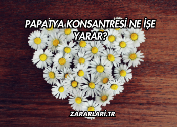 Papatya Konsantresi Ne İşe Yarar?
