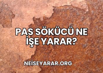 Pas Sökücü Ne İşe Yarar?