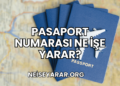 Pasaport Numarası Ne İşe Yarar?