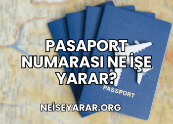 Pasaport Numarası Ne İşe Yarar?