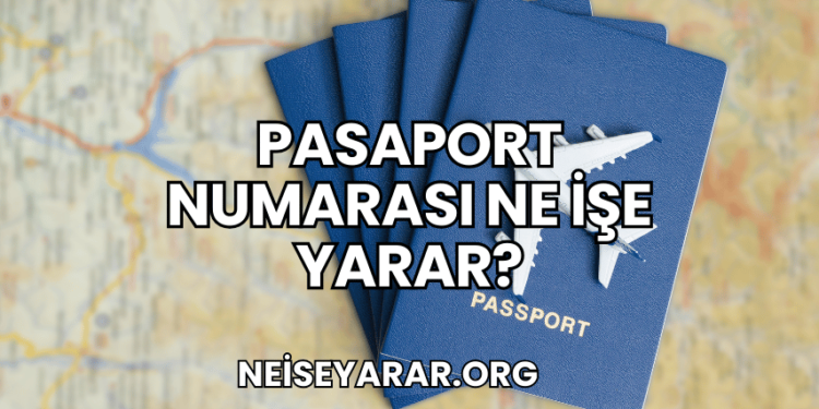 Pasaport Numarası Ne İşe Yarar?