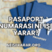Pasaport Numarası Ne İşe Yarar?