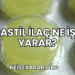 Pastil İlaç Ne İşe Yarar?