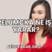 Pelumcka Ne İşe Yarar?