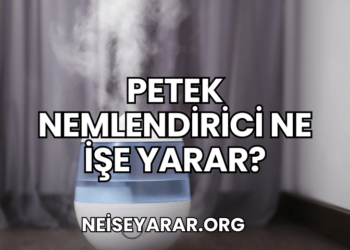 Petek Nemlendirici Ne İşe Yarar?