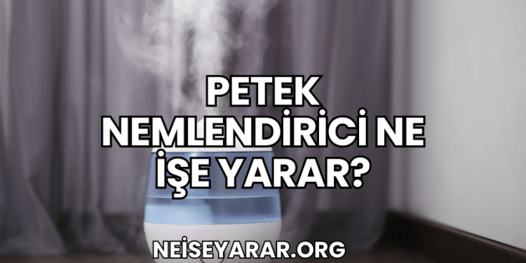 Petek Nemlendirici Ne İşe Yarar?