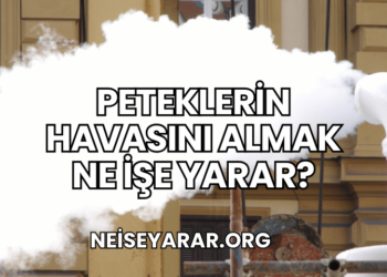 Peteklerin Havasını Almak Ne İşe Yarar?