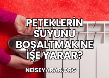 Peteklerin Suyunu Boşaltmak Ne İşe Yarar?