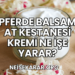 Pferde Balsam At Kestanesi Kremi Ne İşe Yarar?