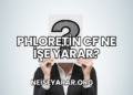 Phloretin CF Ne İşe Yarar?