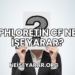 Phloretin CF Ne İşe Yarar?