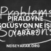 Piraldyne Solüsyon Ne İşe Yarar?