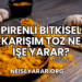 Pirenli Bitkisel Karışım Toz Ne İşe Yarar?