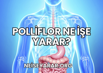 Polliflor Ne İşe Yarar?
