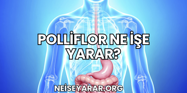 Polliflor Ne İşe Yarar?