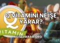 Q Vitamini Ne İşe Yarar?