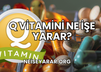 Q Vitamini Ne İşe Yarar?