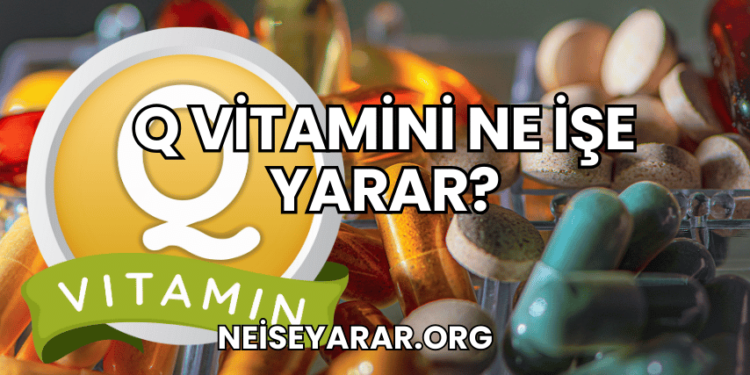 Q Vitamini Ne İşe Yarar?