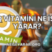 Q Vitamini Ne İşe Yarar?