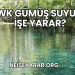 SWK Gümüş Suyu Ne İşe Yarar?