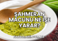Şahmeran Macunu Ne İşe Yarar?