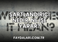 Şartlandırıcı Nedir, Ne İşe Yarar?