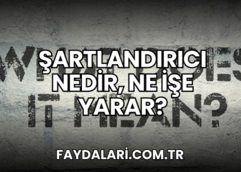 Şartlandırıcı Nedir, Ne İşe Yarar?