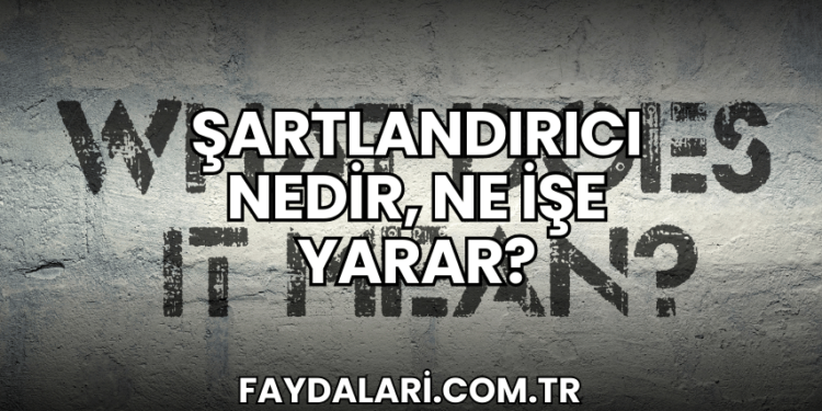 Şartlandırıcı Nedir, Ne İşe Yarar?