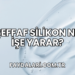 Şeffaf Silikon Ne İşe Yarar?