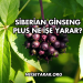 Siberian Ginseng Plus Ne İşe Yarar?
