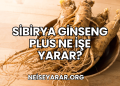 Sibirya Ginseng Plus Ne İşe Yarar?