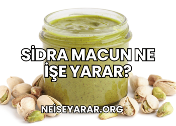 Sidra Macun Ne İşe Yarar?