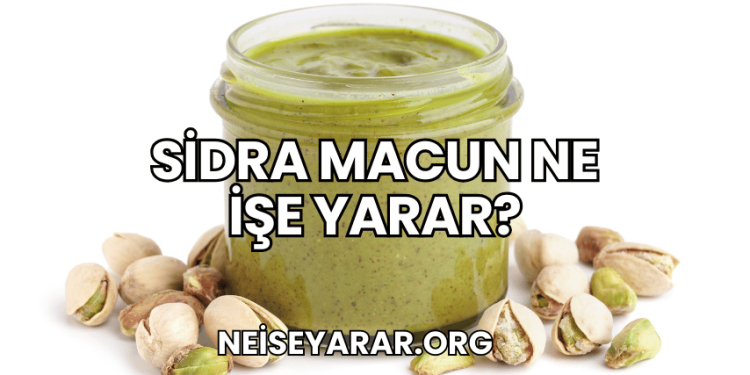 Sidra Macun Ne İşe Yarar?
