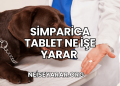 Simparica Tablet Ne İşe Yarar