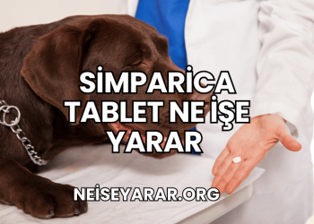 Simparica Tablet Ne İşe Yarar