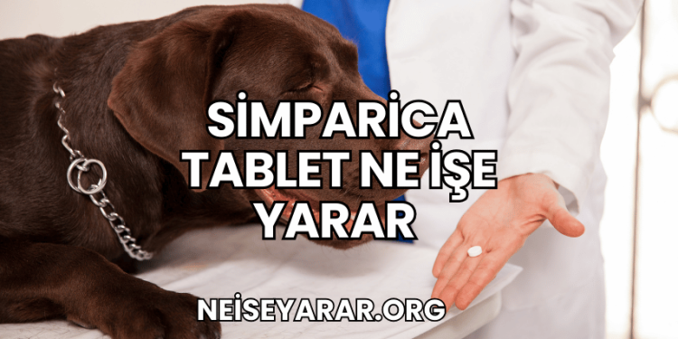 Simparica Tablet Ne İşe Yarar
