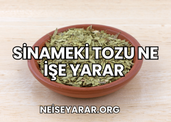 Sinameki Tozu Ne İşe Yarar