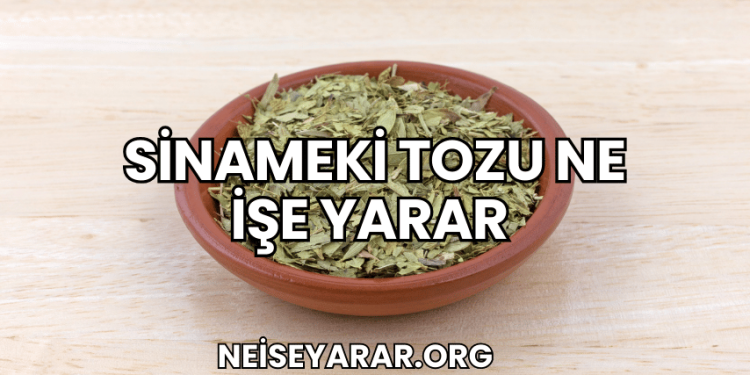 Sinameki Tozu Ne İşe Yarar
