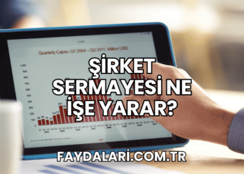 Şirket Sermayesi Ne İşe Yarar?