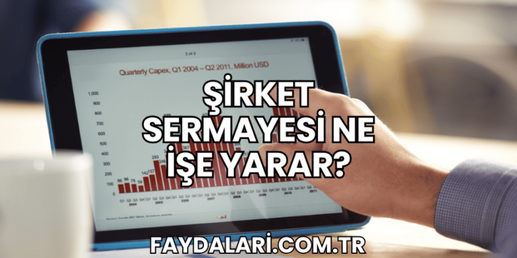 Şirket Sermayesi Ne İşe Yarar?