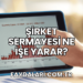 Şirket Sermayesi Ne İşe Yarar?