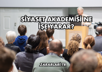 Siyaset Akademisi Ne İşe Yarar?