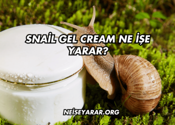 Snail Gel Cream Ne İşe Yarar?