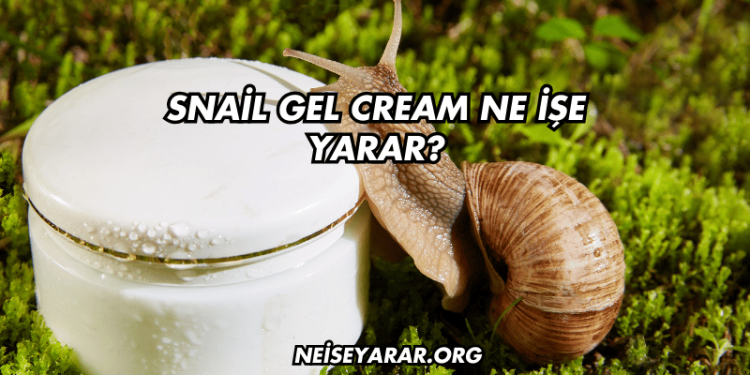 Snail Gel Cream Ne İşe Yarar?