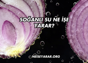 Soğanlı Su Ne İşe Yarar?